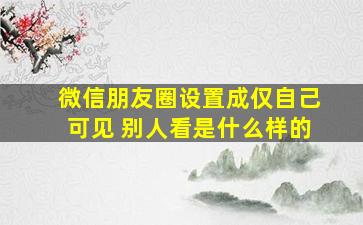 微信朋友圈设置成仅自己可见 别人看是什么样的